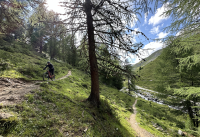 Event Ein Tag im Paradies