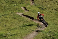 Event Melk TourMilking Tour